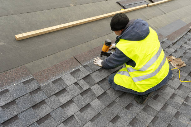 Roof Gutter Cleaning in Lockport Heights, IL