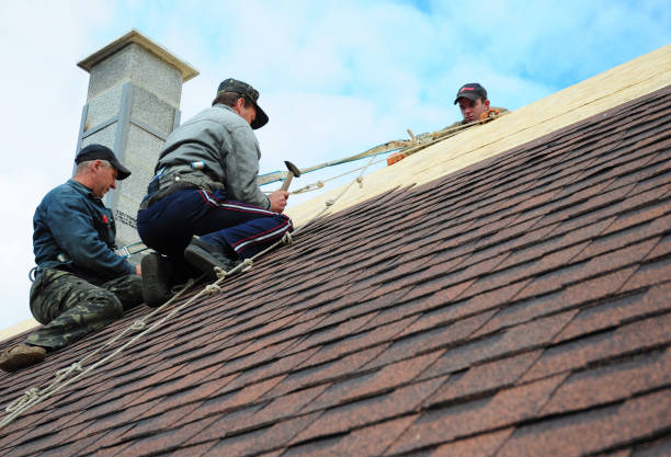 Quick and Trustworthy Emergency Roof Repair Services in Lockport Heights, IL